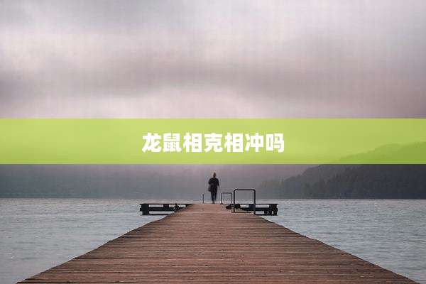 龙鼠相克相冲吗
