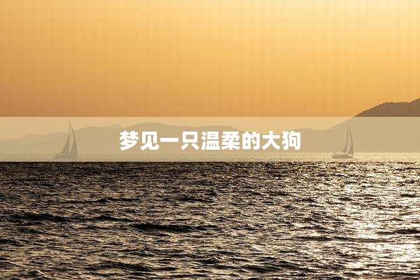 梦见一只温柔的大狗