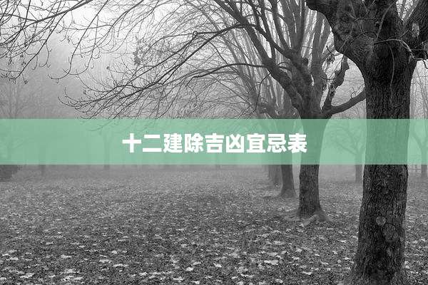 十二建除吉凶宜忌表