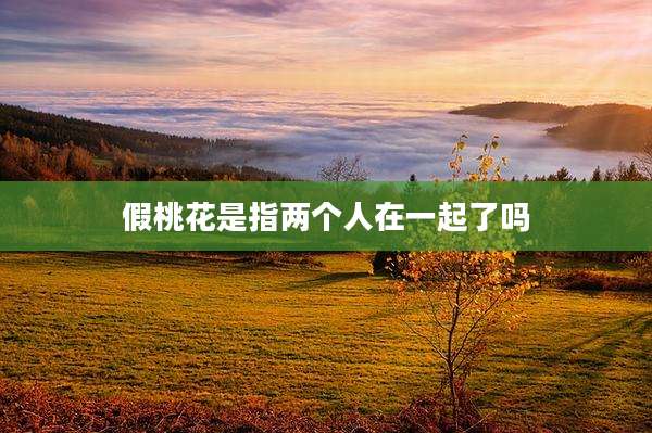 假桃花是指两个人在一起了吗
