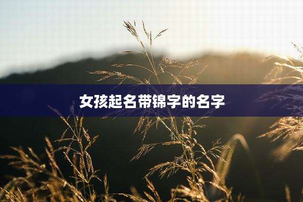 女孩起名带锦字的名字