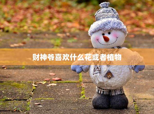 财神爷喜欢什么花或者植物