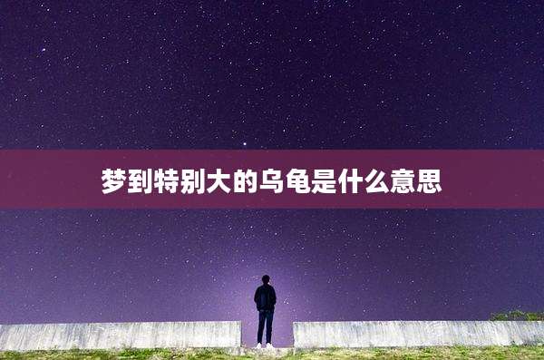 梦到特别大的乌龟是什么意思