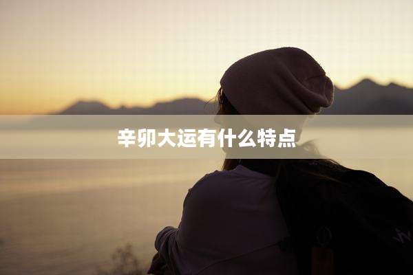 辛卯大运有什么特点