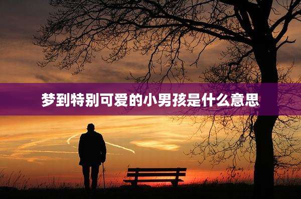 梦到特别可爱的小男孩是什么意思