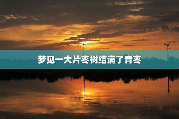 梦见一大片枣树结满了青枣