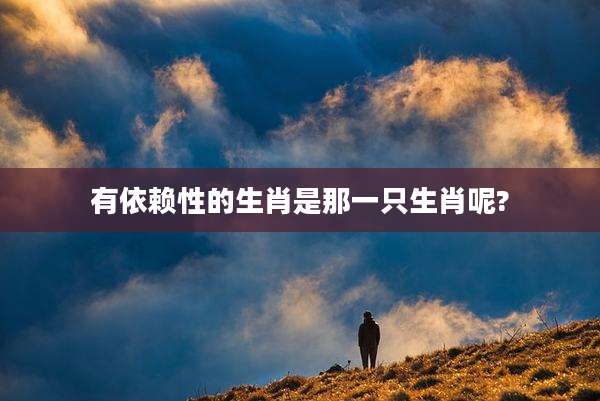 有依赖性的生肖是那一只生肖呢?