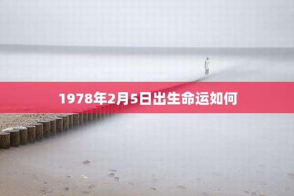 1978年2月5日出生命运如何