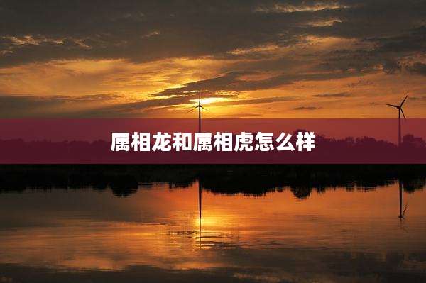 属相龙和属相虎怎么样