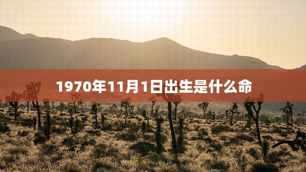 1970年11月1日出生是什么命