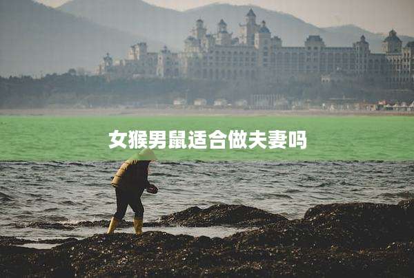 女猴男鼠适合做夫妻吗