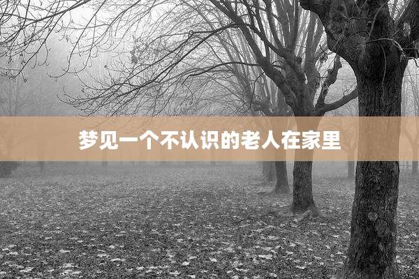 梦见一个不认识的老人在家里
