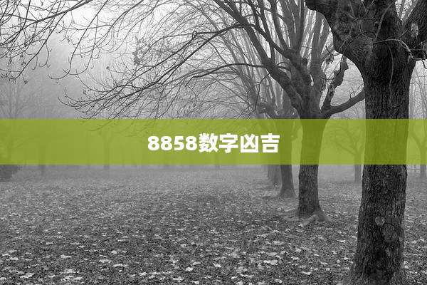 8858数字凶吉