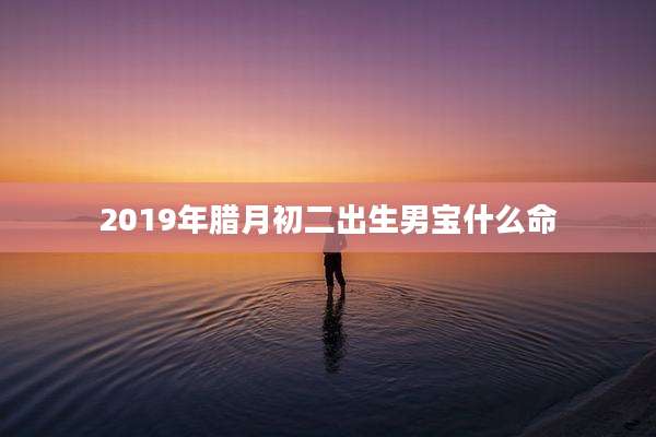 2019年腊月初二出生男宝什么命