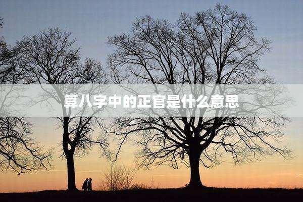 算八字中的正官是什么意思