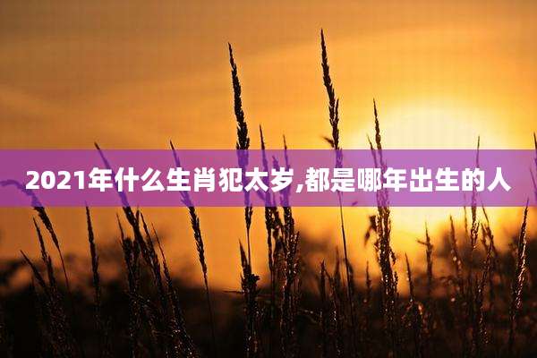 2021年什么生肖犯太岁,都是哪年出生的人