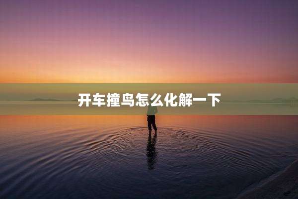 开车撞鸟怎么化解一下
