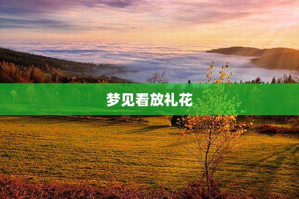梦见看放礼花