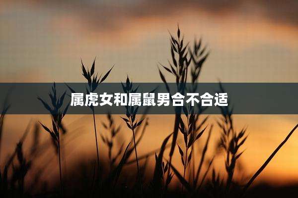 属虎女和属鼠男合不合适