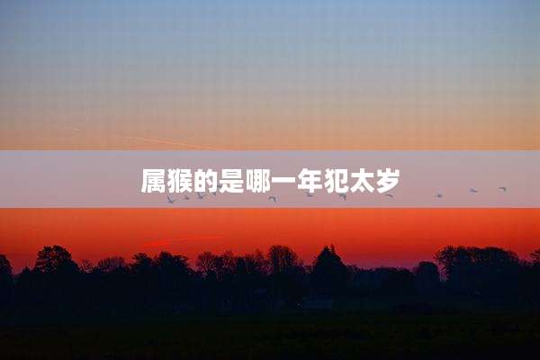 属猴的是哪一年犯太岁