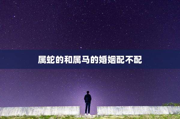 属蛇的和属马的婚姻配不配
