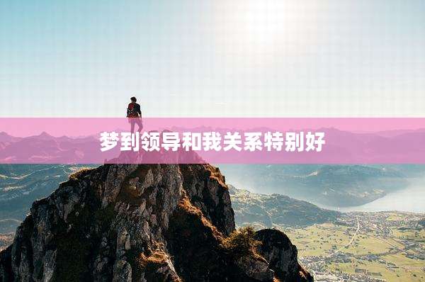 梦到领导和我关系特别好