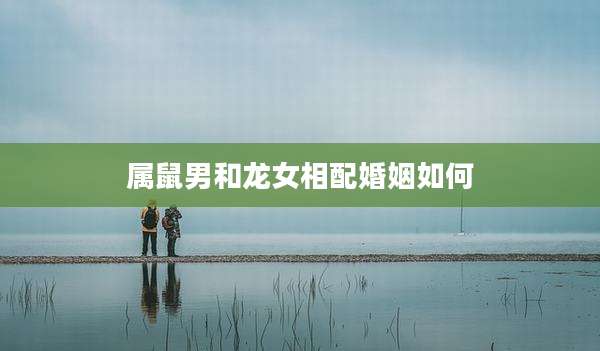 属鼠男和龙女相配婚姻如何