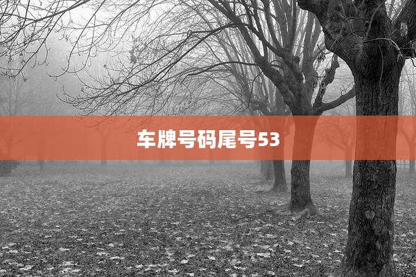 车牌号码尾号53