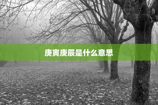 庚寅庚辰是什么意思