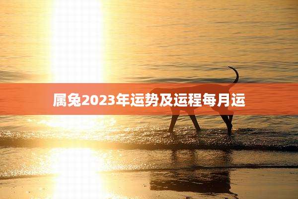 属兔2023年运势及运程每月运
