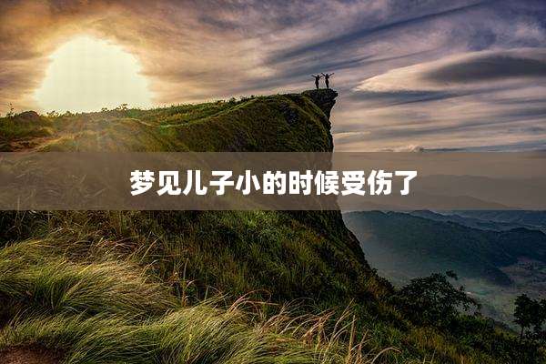 梦见儿子小的时候受伤了