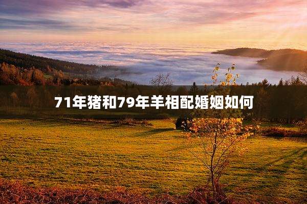 71年猪和79年羊相配婚姻如何