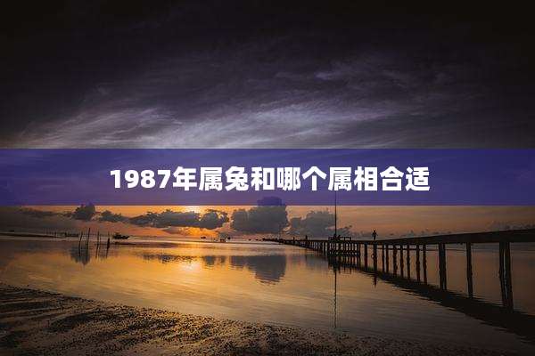 1987年属兔和哪个属相合适