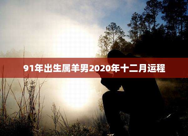 91年出生属羊男2020年十二月运程