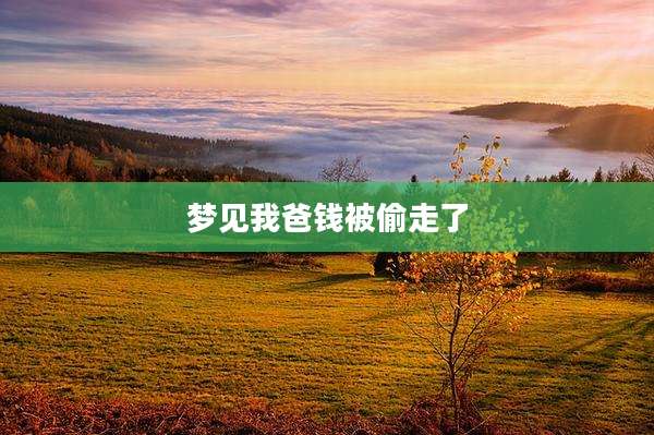 梦见我爸钱被偷走了