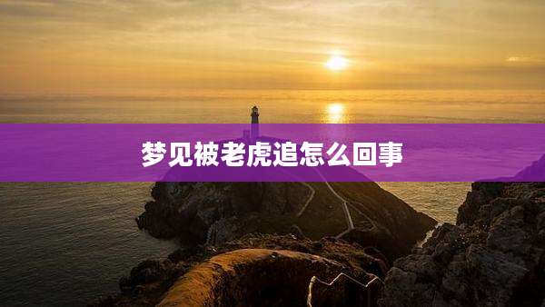 梦见被老虎追怎么回事