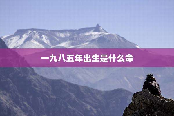 一九八五年出生是什么命