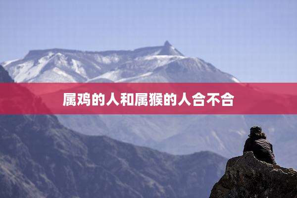属鸡的人和属猴的人合不合