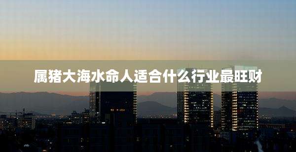 属猪大海水命人适合什么行业最旺财