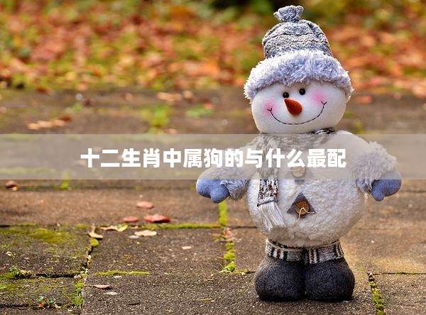 十二生肖中属狗的与什么最配