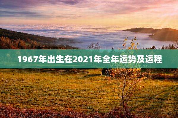 1967年出生在2021年全年运势及运程