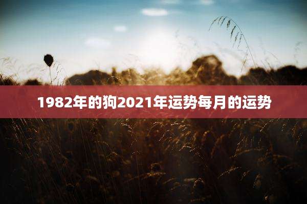 1982年的狗2021年运势每月的运势