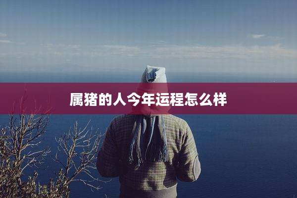 属猪的人今年运程怎么样