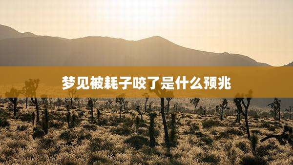 梦见被耗子咬了是什么预兆
