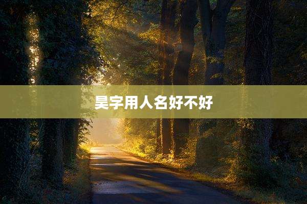 昊字用人名好不好