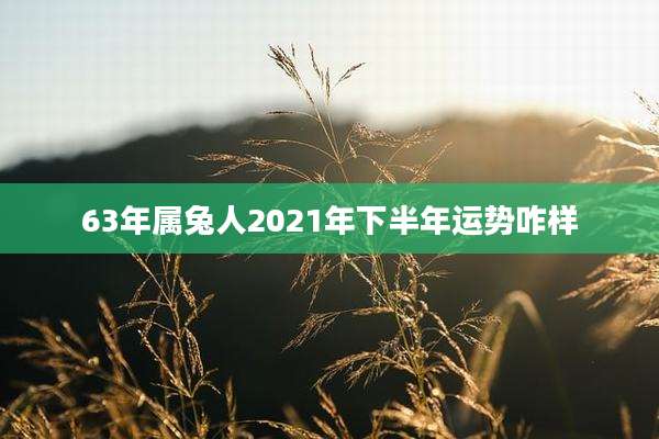 63年属兔人2021年下半年运势咋样