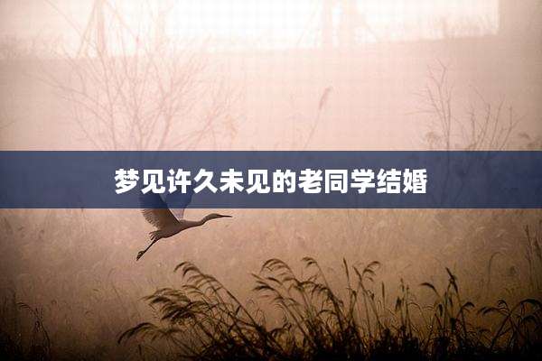 梦见许久未见的老同学结婚