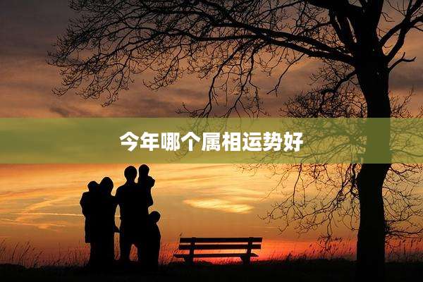 今年哪个属相运势好