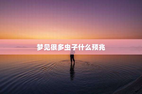 梦见很多虫子什么预兆