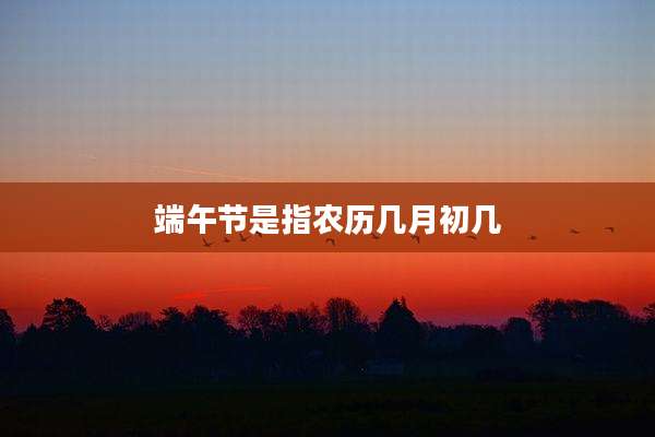 端午节是指农历几月初几